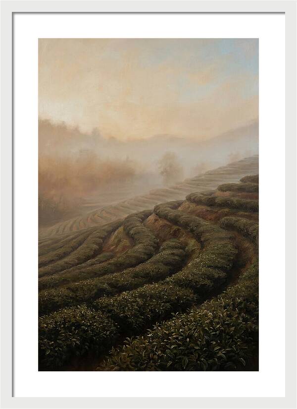 Serene Tea Garden