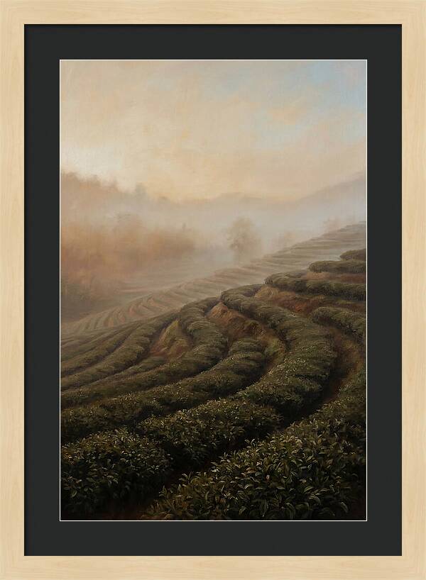 Serene Tea Garden