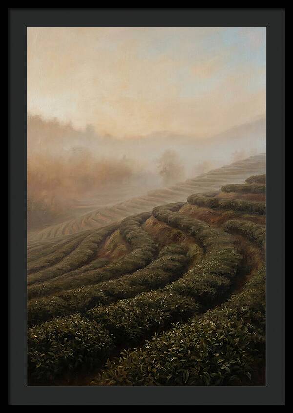 Serene Tea Garden