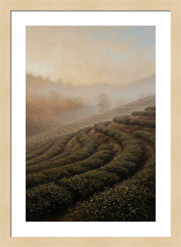 Serene Tea Garden