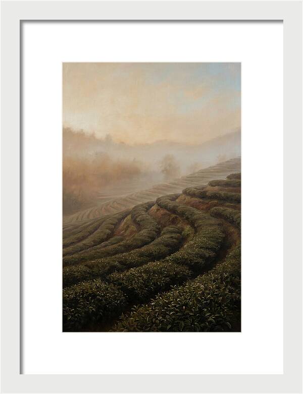 Serene Tea Garden
