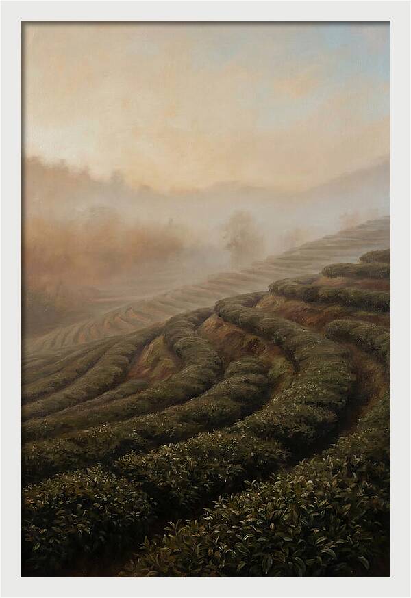 Serene Tea Garden
