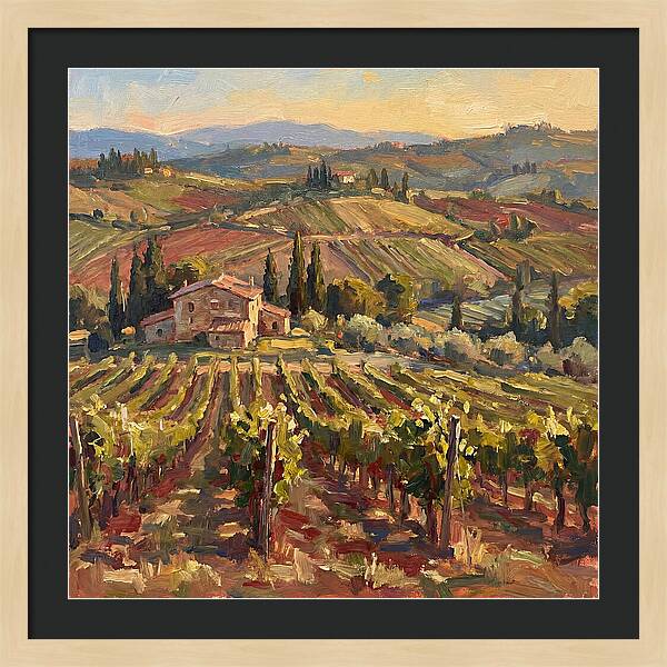 Serene Vineyard Retreat