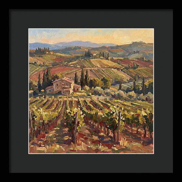 Serene Vineyard Retreat