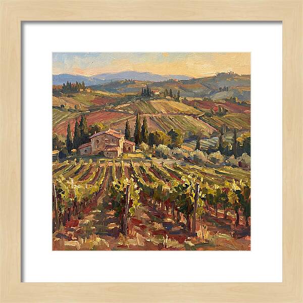 Serene Vineyard Retreat