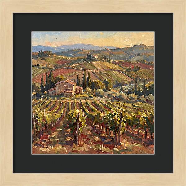 Serene Vineyard Retreat