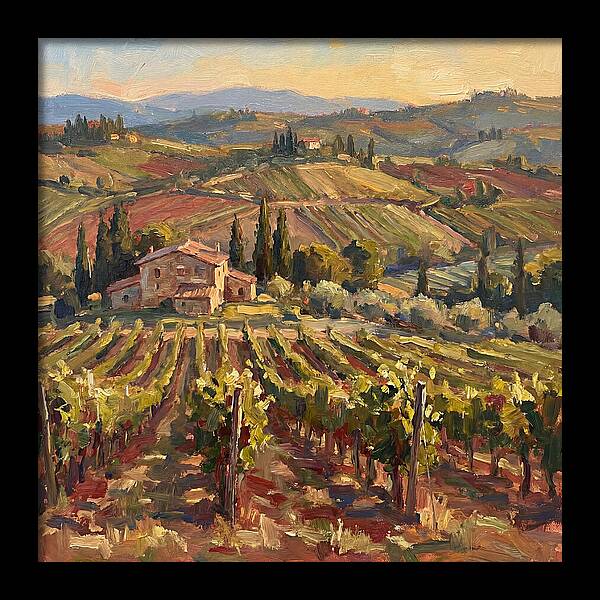Serene Vineyard Retreat