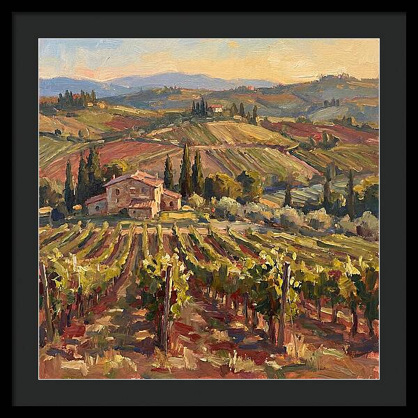 Serene Vineyard Retreat