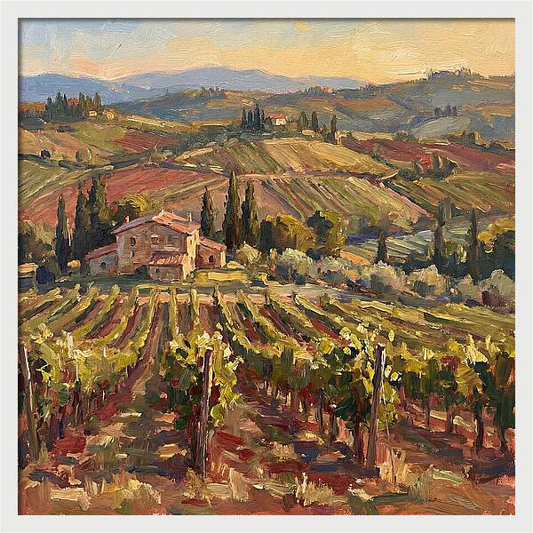 Serene Vineyard Retreat