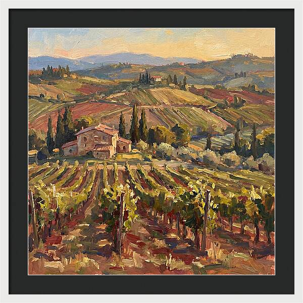 Serene Vineyard Retreat