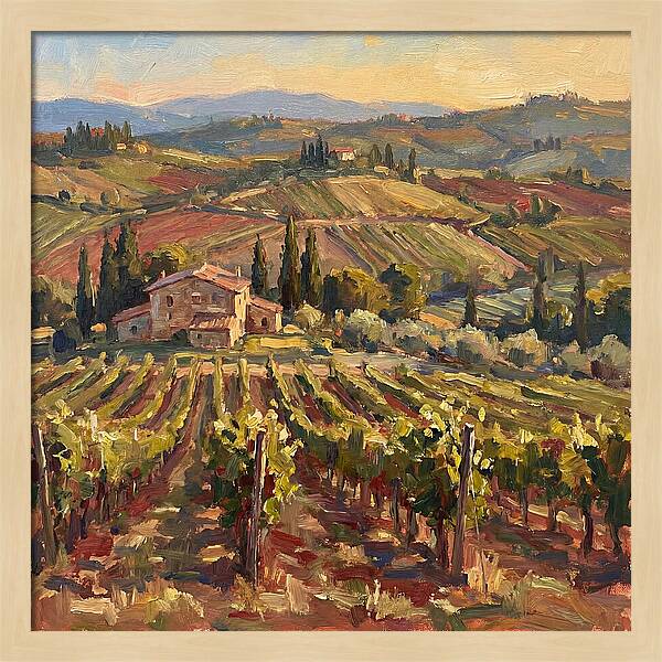 Serene Vineyard Retreat
