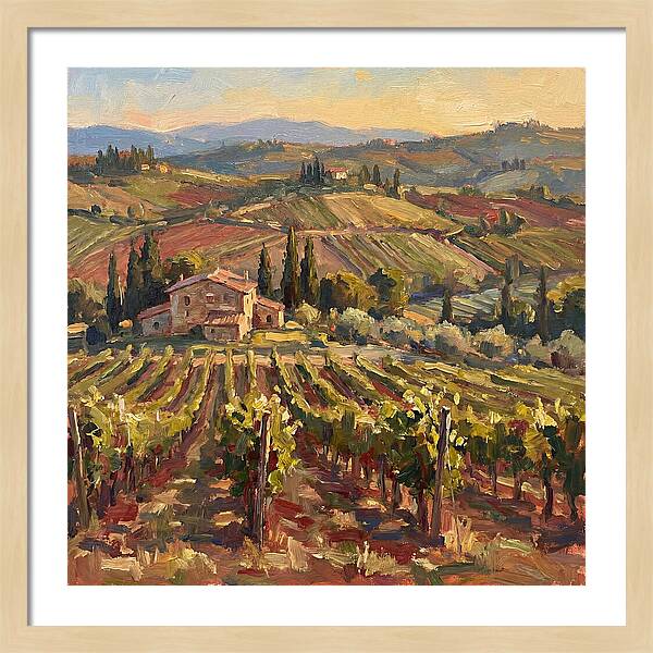 Serene Vineyard Retreat