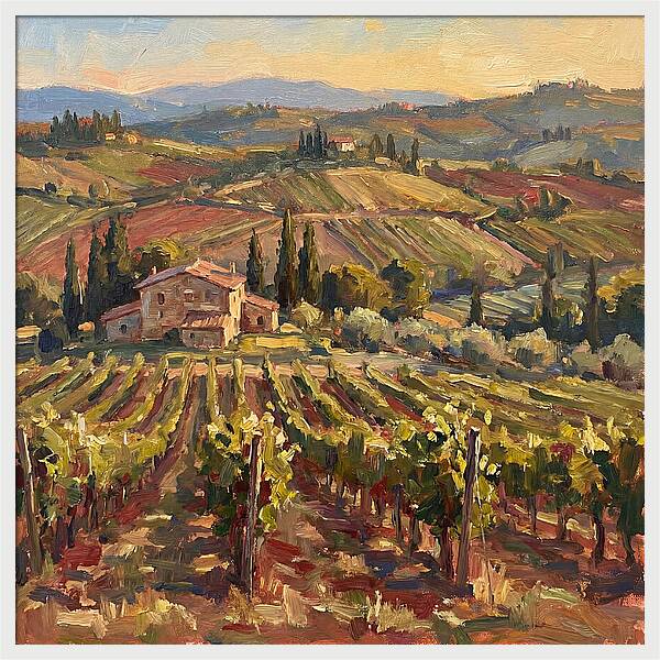 Serene Vineyard Retreat