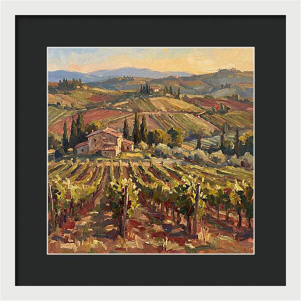 Serene Vineyard Retreat