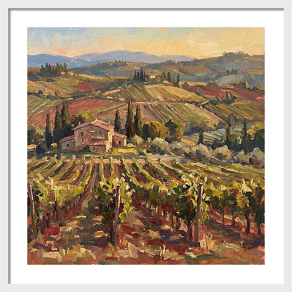 Serene Vineyard Retreat