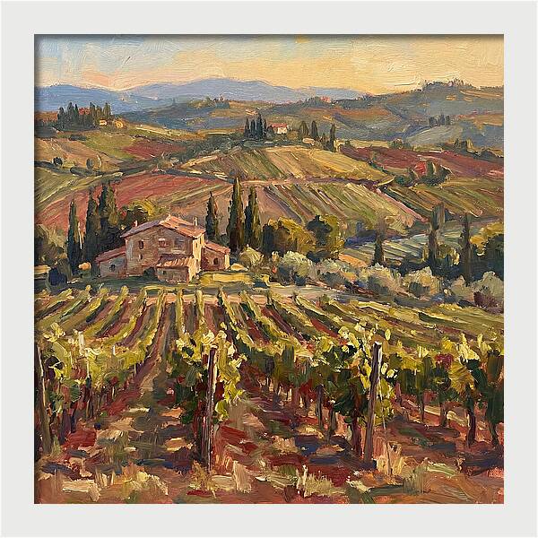 Serene Vineyard Retreat