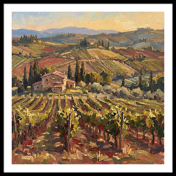Serene Vineyard Retreat