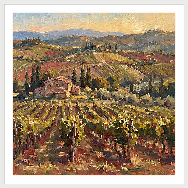 Serene Vineyard Retreat