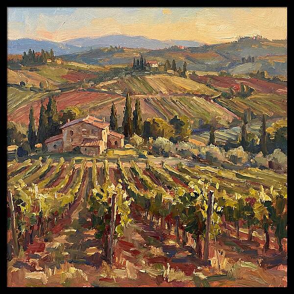 Serene Vineyard Retreat