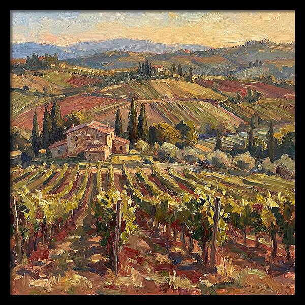 Serene Vineyard Retreat