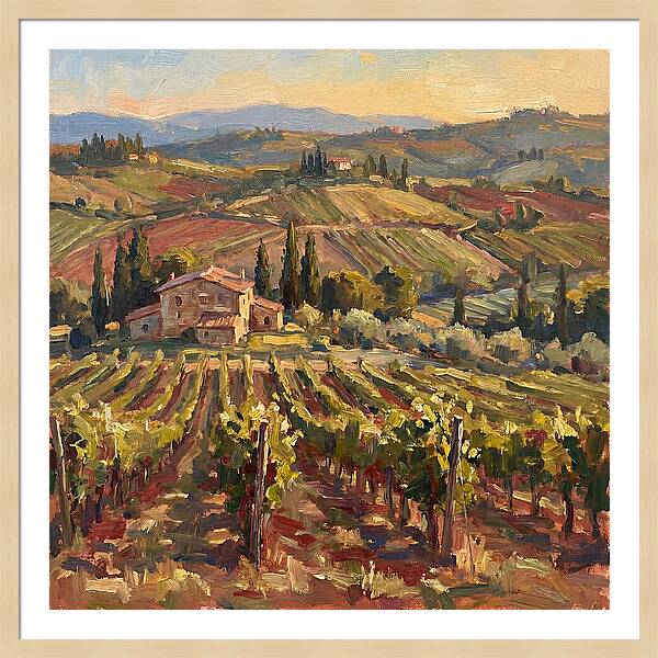 Serene Vineyard Retreat