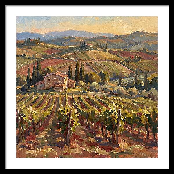 Serene Vineyard Retreat