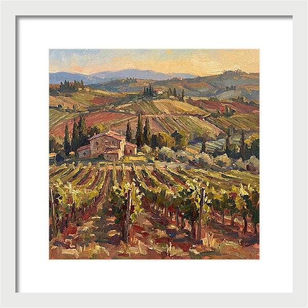 Serene Vineyard Retreat