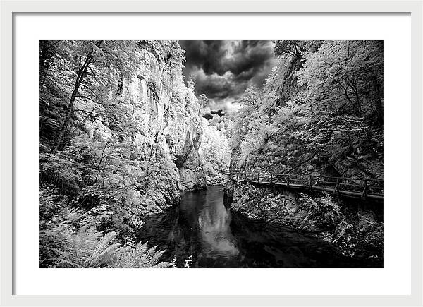 Serene Vintgar Gorge Retreat