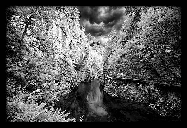 Serene Vintgar Gorge Retreat