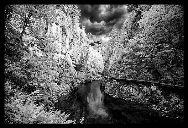 Serene Vintgar Gorge Retreat