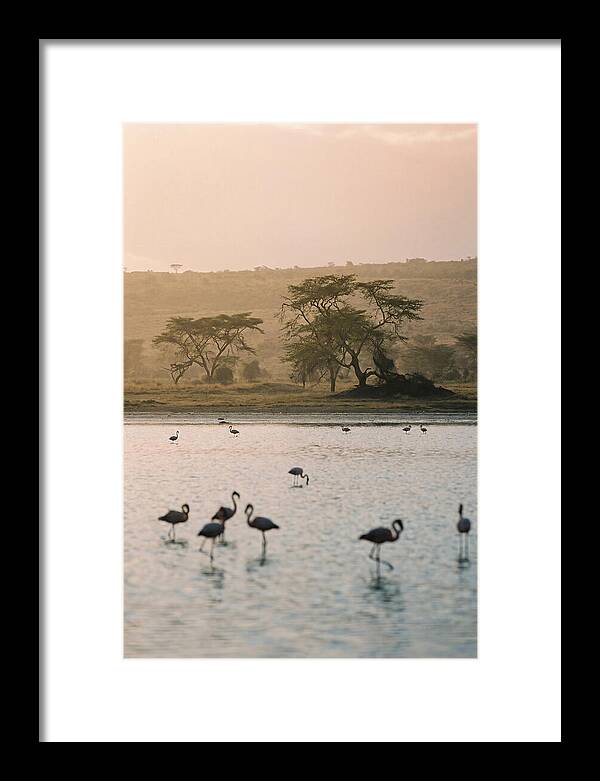 Serene Waters Of Lake Nakuru