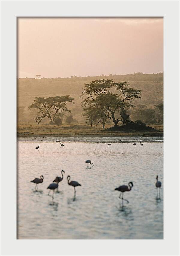 Serene Waters Of Lake Nakuru