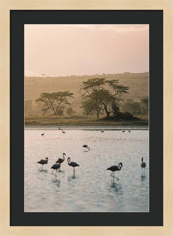 Serene Waters Of Lake Nakuru