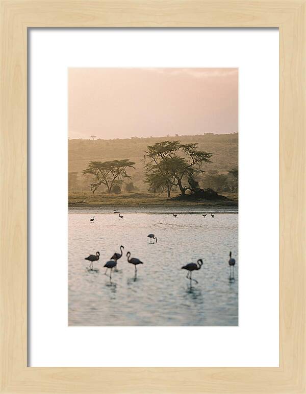 Serene Waters Of Lake Nakuru