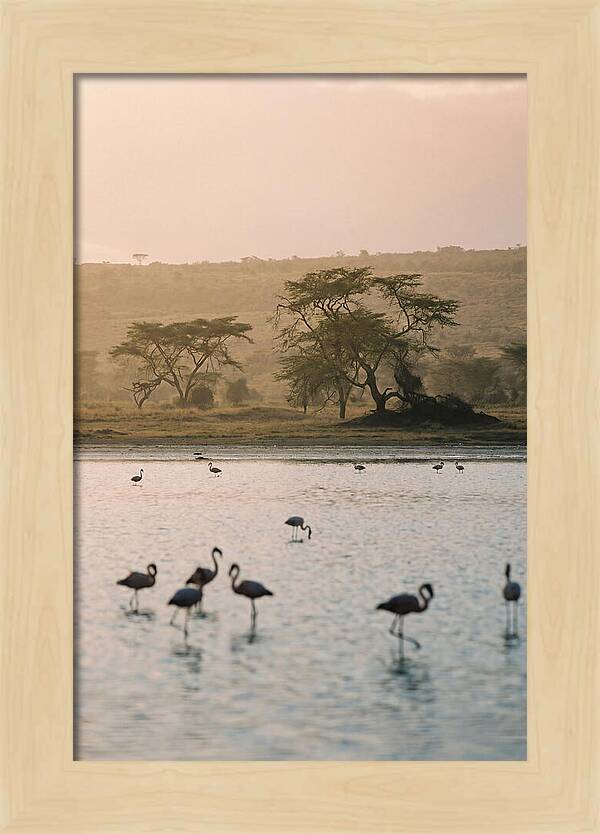 Serene Waters Of Lake Nakuru