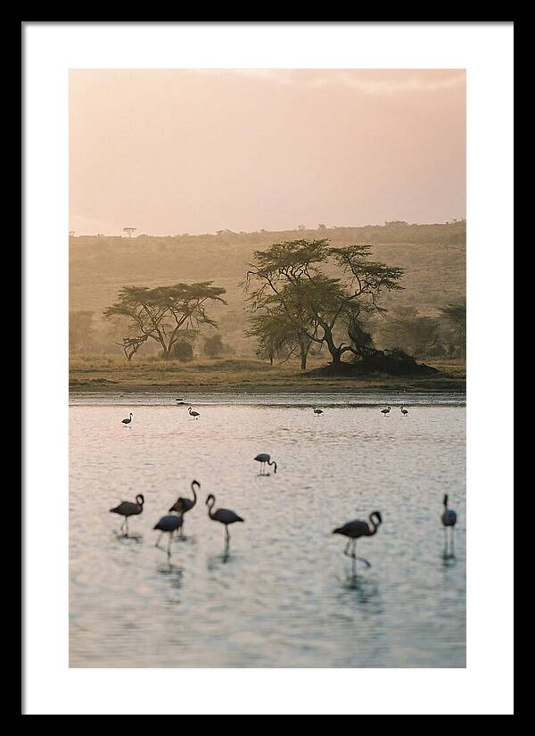 Serene Waters Of Lake Nakuru