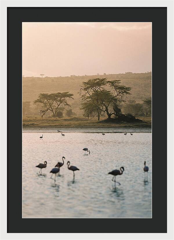 Serene Waters Of Lake Nakuru
