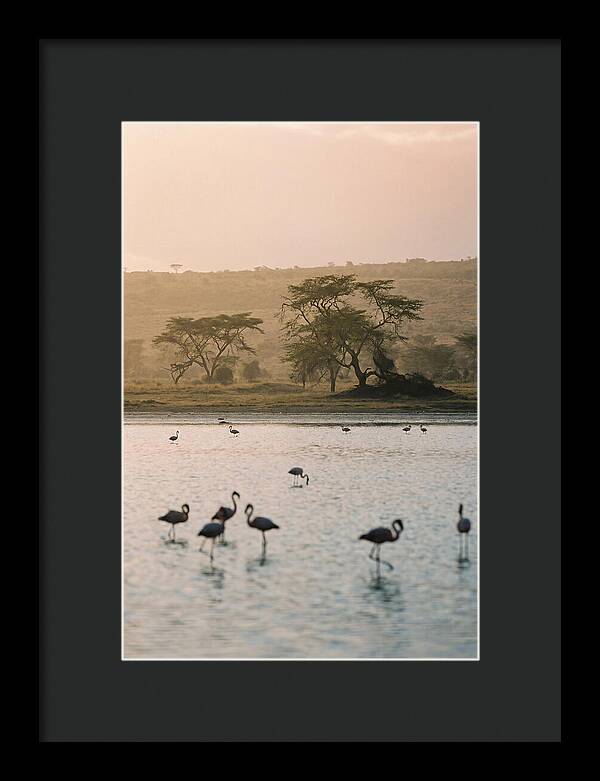 Serene Waters Of Lake Nakuru