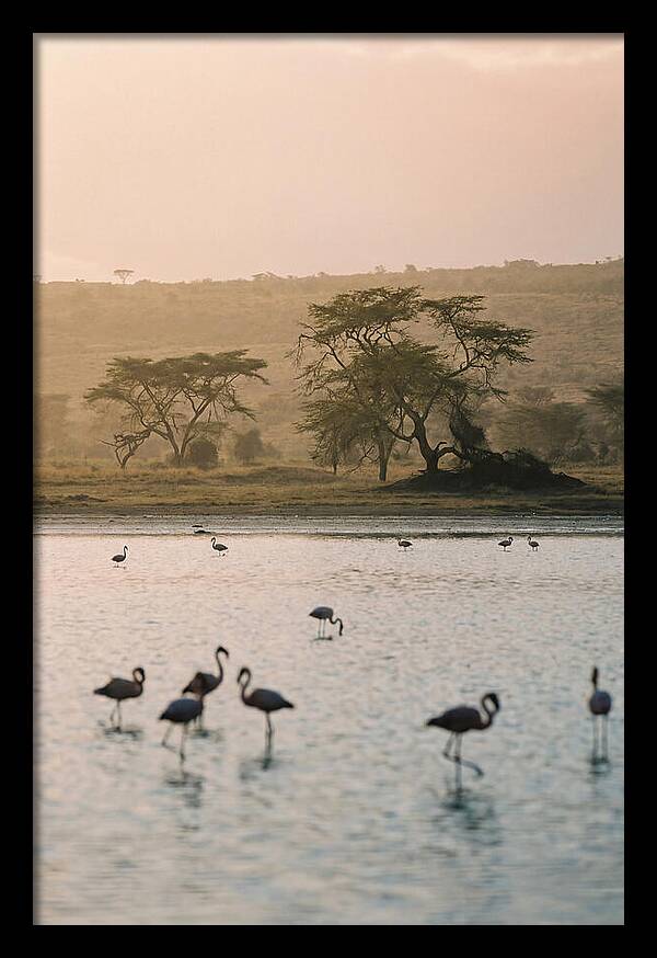 Serene Waters Of Lake Nakuru