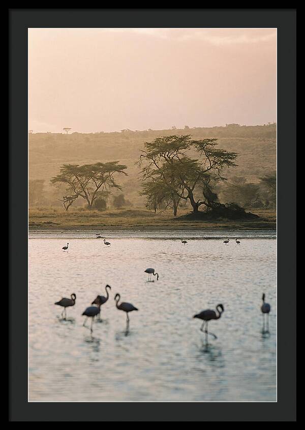 Serene Waters Of Lake Nakuru
