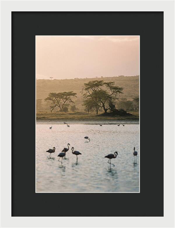 Serene Waters Of Lake Nakuru