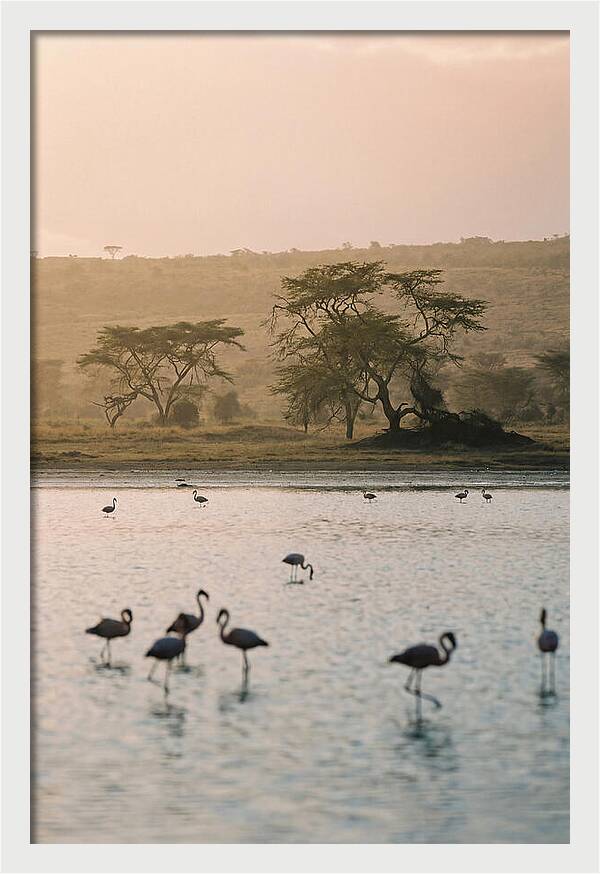 Serene Waters Of Lake Nakuru