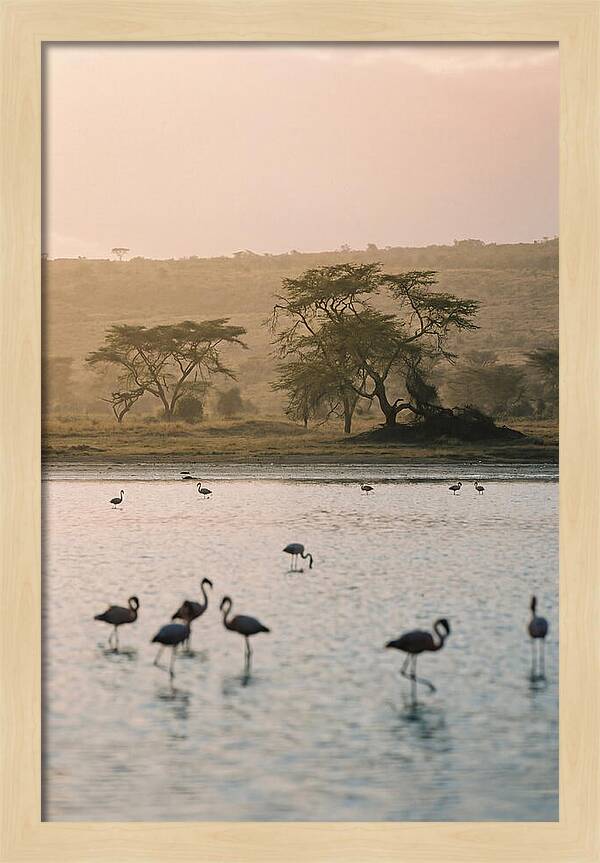 Serene Waters Of Lake Nakuru