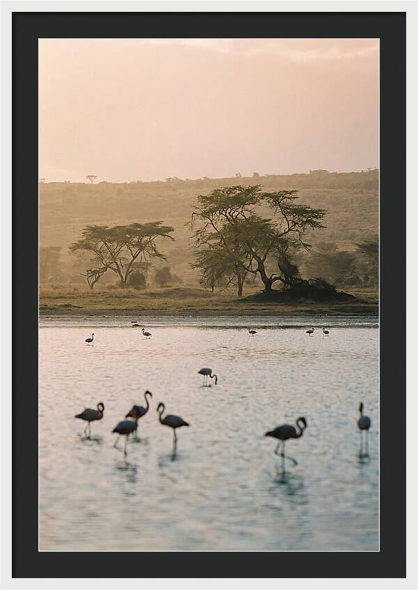 Serene Waters Of Lake Nakuru