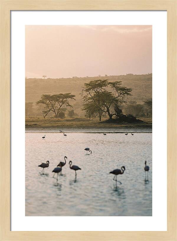 Serene Waters Of Lake Nakuru