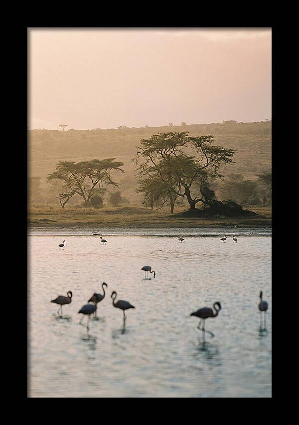 Serene Waters Of Lake Nakuru