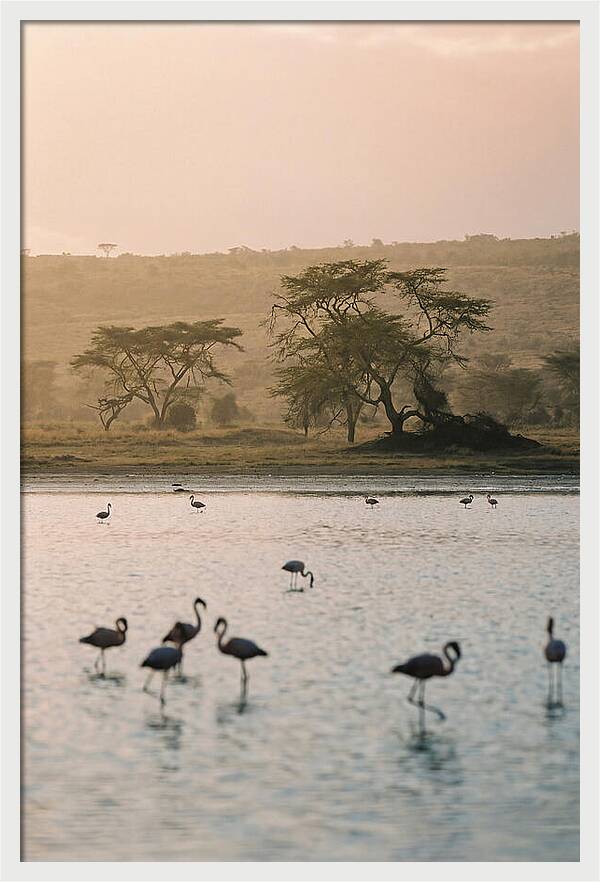 Serene Waters Of Lake Nakuru