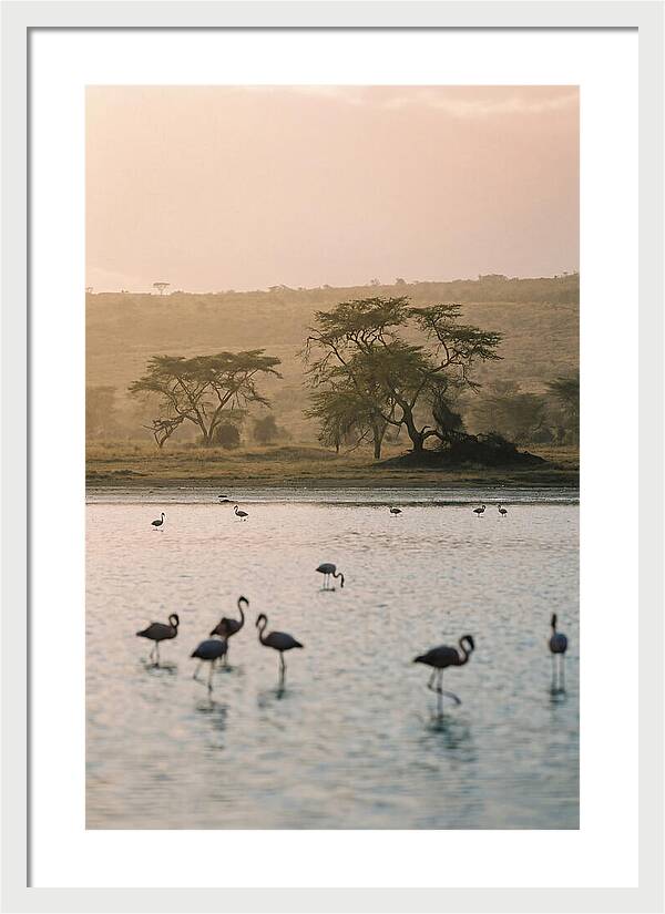 Serene Waters Of Lake Nakuru