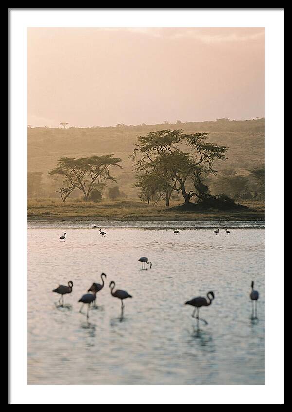 Serene Waters Of Lake Nakuru