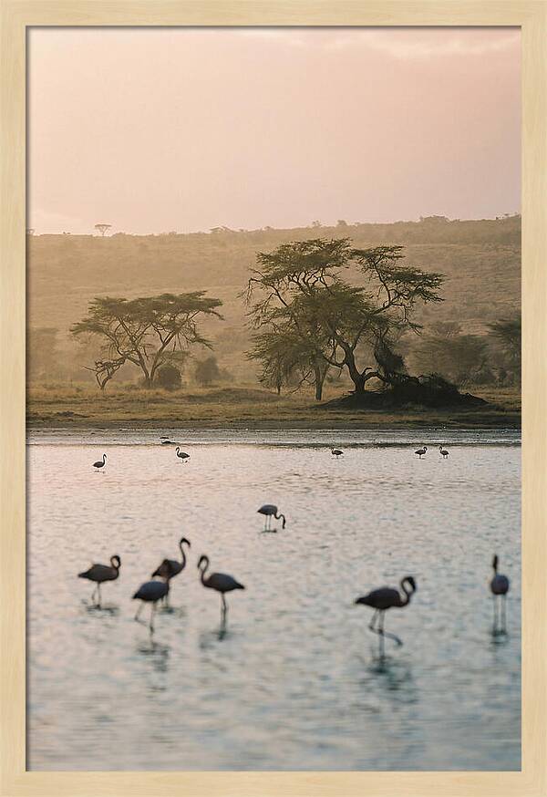 Serene Waters Of Lake Nakuru
